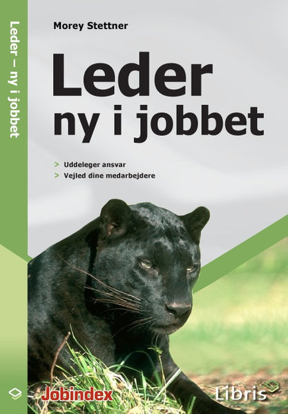 Leder - ny i jobbet